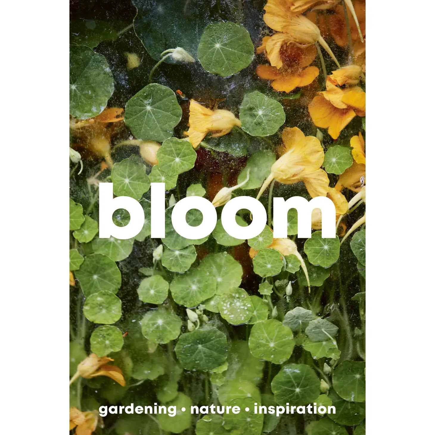 Front Cover Of ‘Bloom’ Zine.